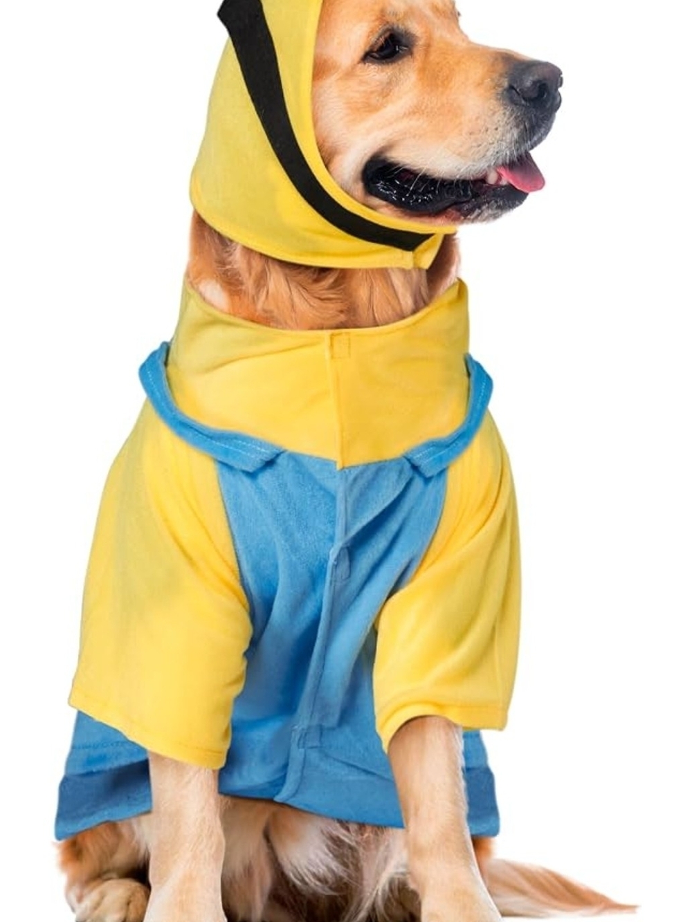 Rubie's Yellow and Blue Hooded Dog Raincoat